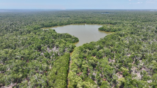 Impulsa Gobierno del Pueblo acciones para designar a Cinco Lagunas como área natural protegida