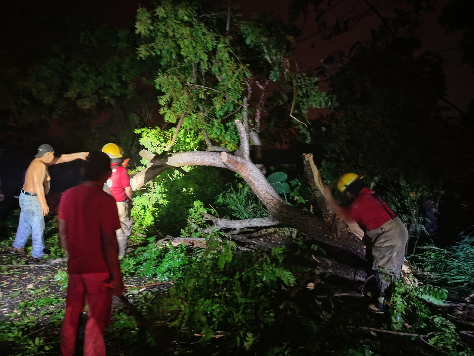 Atienden cuerpos de emergencia situaciones causadas por fuertes lluvias en Centro, Tabasco