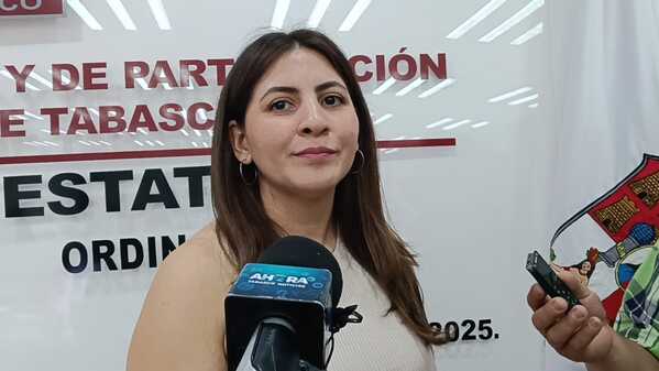 IEPC Tabasco no le debe nada de los 19 mdp al INE: Elizabeth Tapia