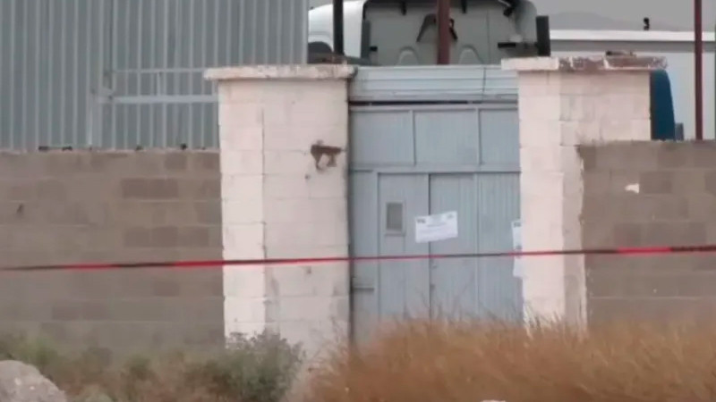 Informará gobierno sobre cuerpos en crematorio de Ciudad Juárez