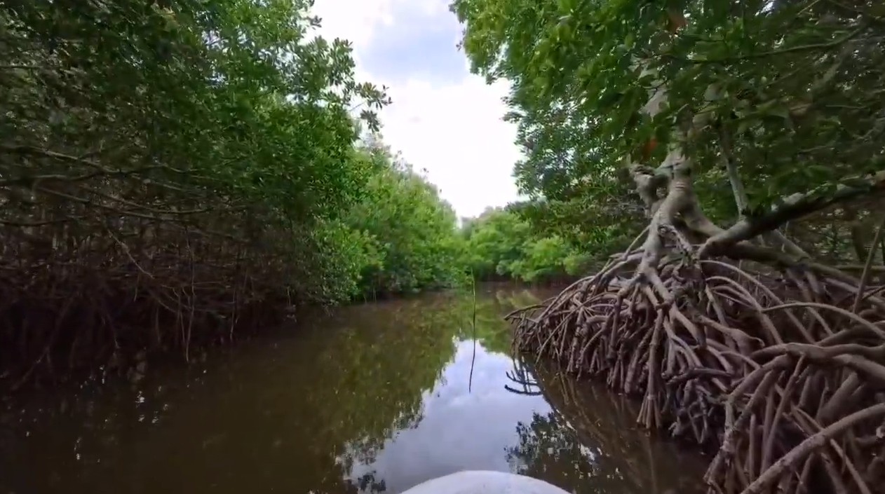 Comalcalco invita a vivir la experiencia del Festival del Marisco “Raíces del Corinto”