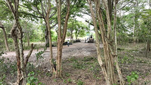 Apoyan deportistas y ciudadanos Plan de Rescate del Parque Estatal Laguna El Camarón