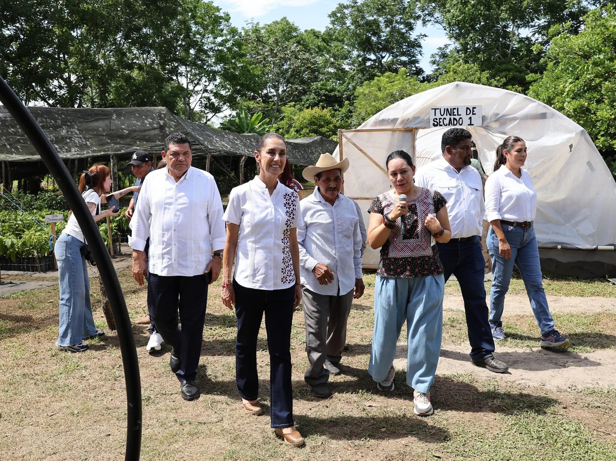Tabasco recibirá fábrica de Chocolate Bienestar: Sheinbaum y May coordinan en Tacotalpa