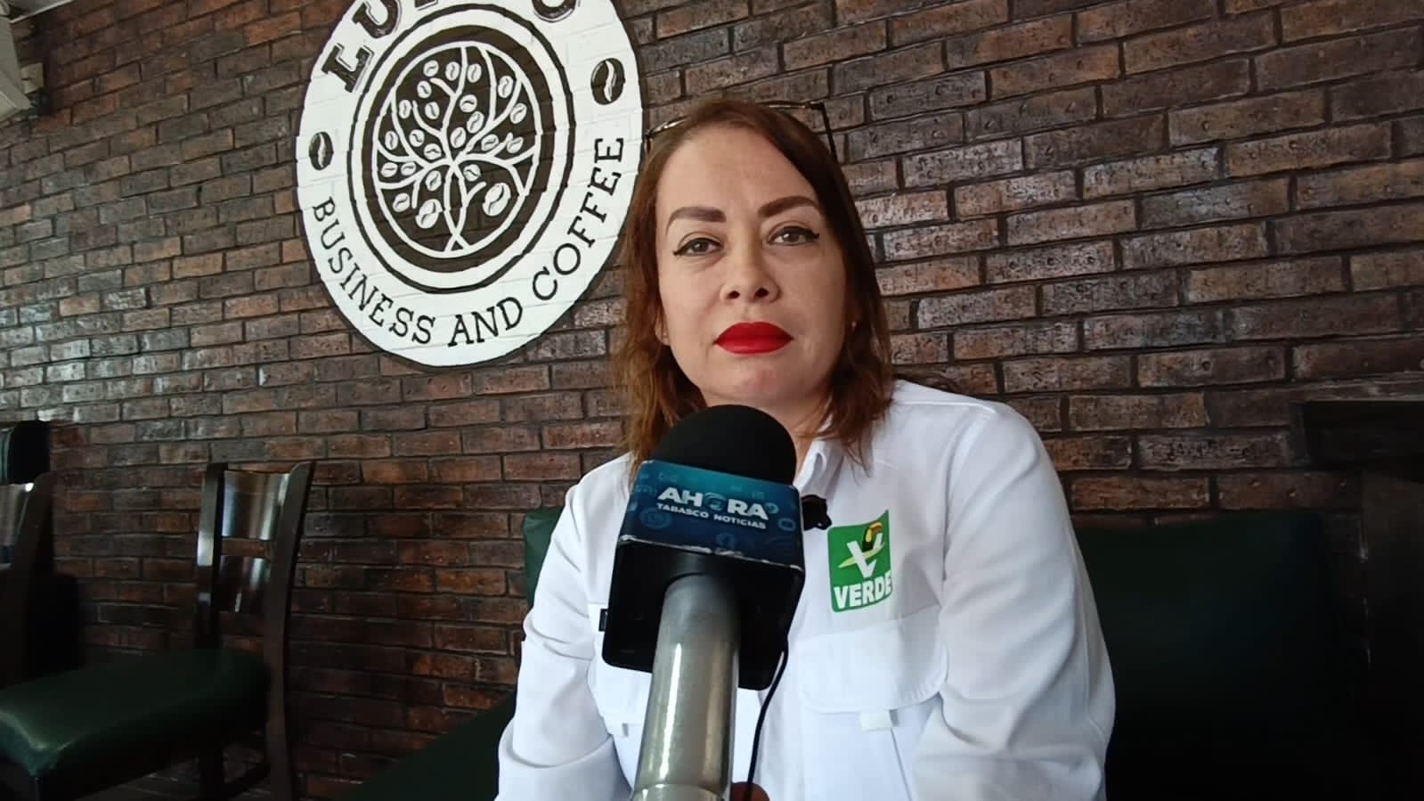 Lamenta PVEM falta de perreras municipales en Tabasco; urgen apoyo a refugios animales