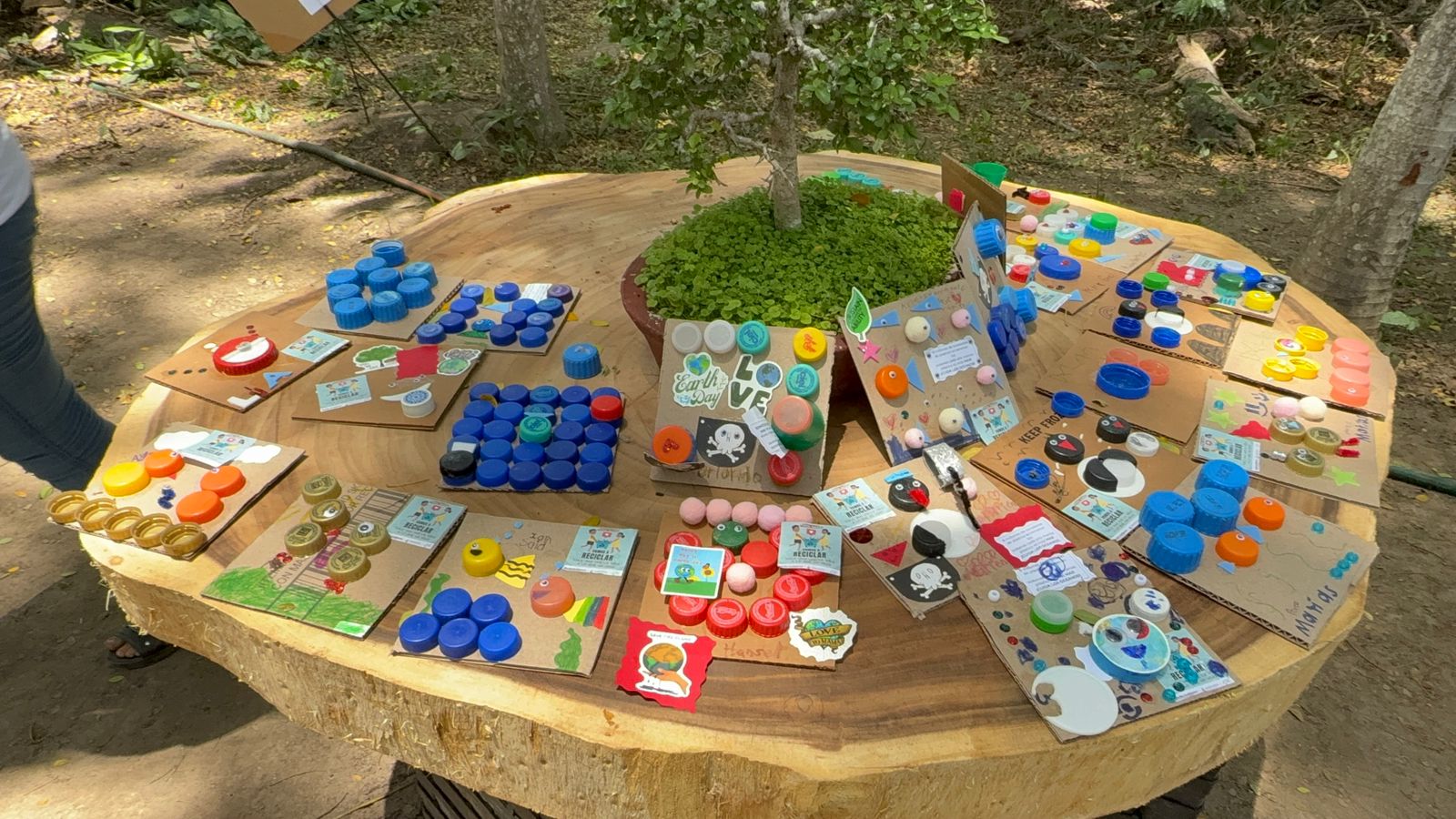 Concluye curso de verano “Huellas Verdes”