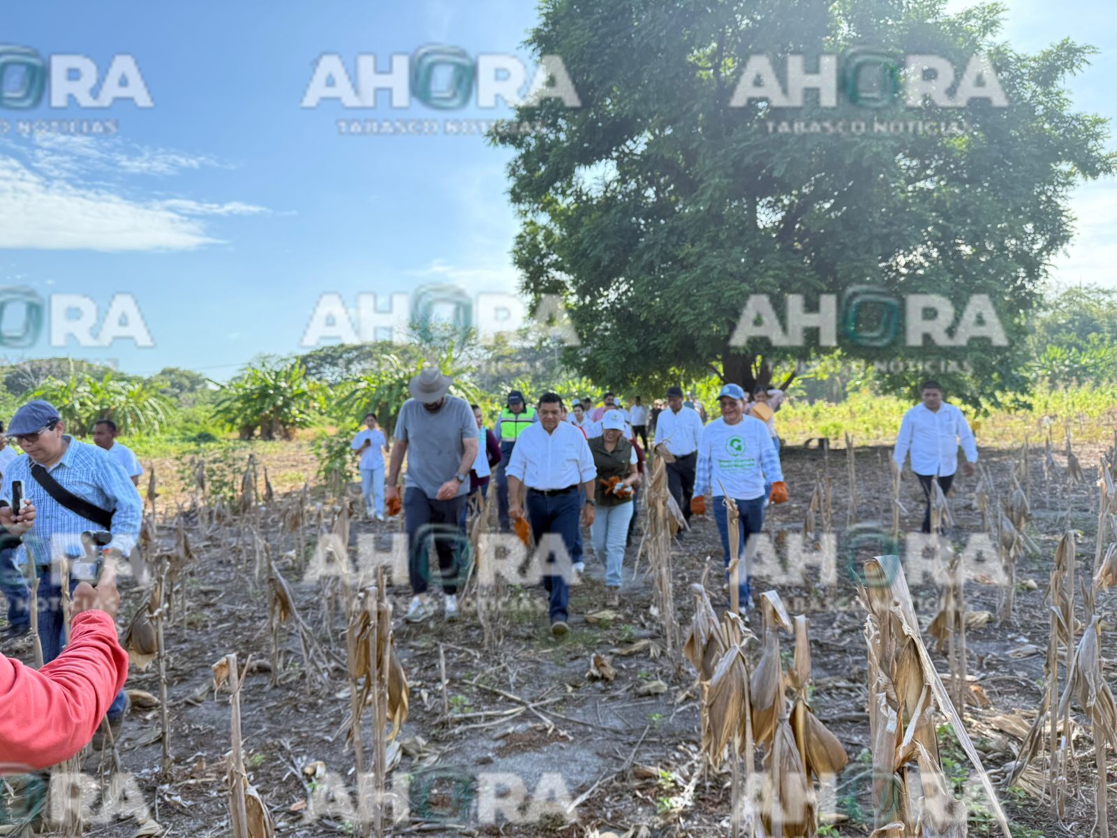 Limpian la laguna El Camarón