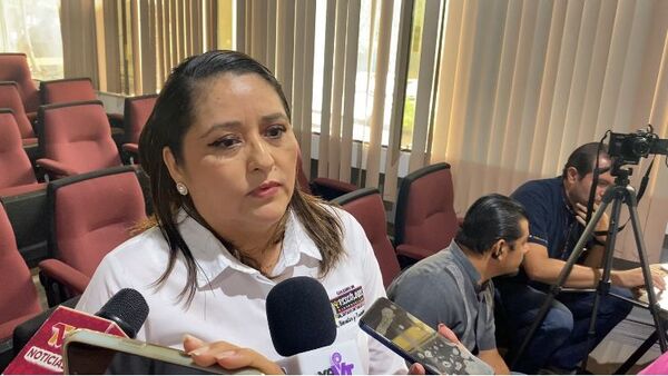 30 por ciento de los infantes, con problemas emocionales: Colegio de Psicólogos de Tabasco