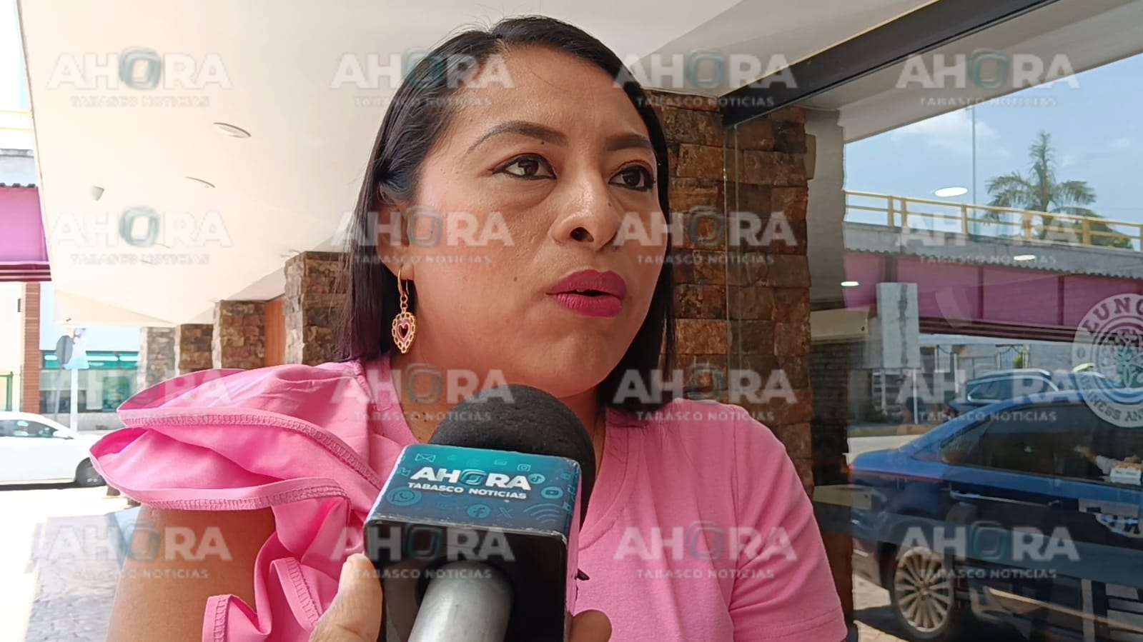Macuspana aprobó reglamento de la Ley  maltrato animal: Cinthia Reyes