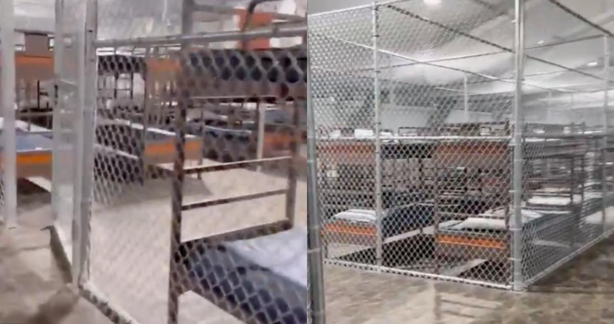 Hay 14 mexicanos detenidos en Alligator Alcatraz, revela Sheinbaum; pide repatriarlos