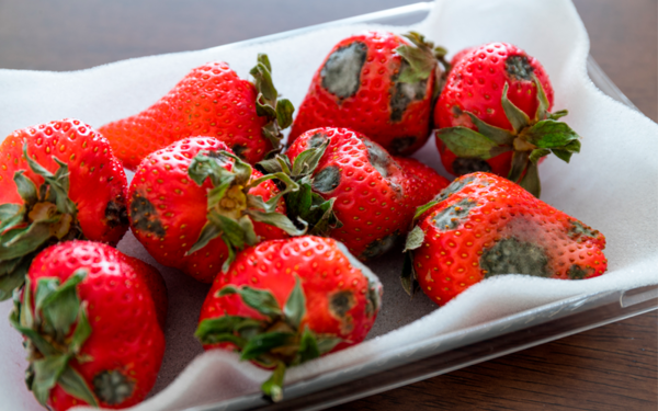 4 alimentos peligrosos que debes evitar por completo