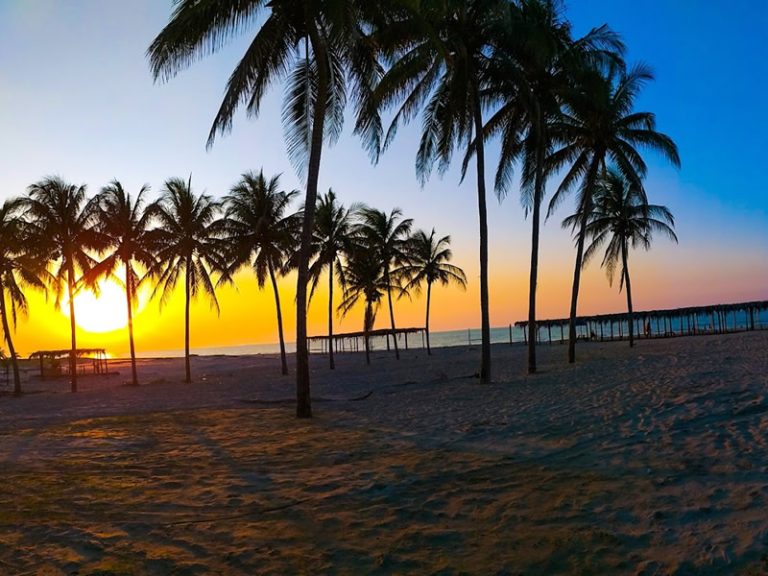 Vive Centla: playas escondidas y comida de mar que enamora