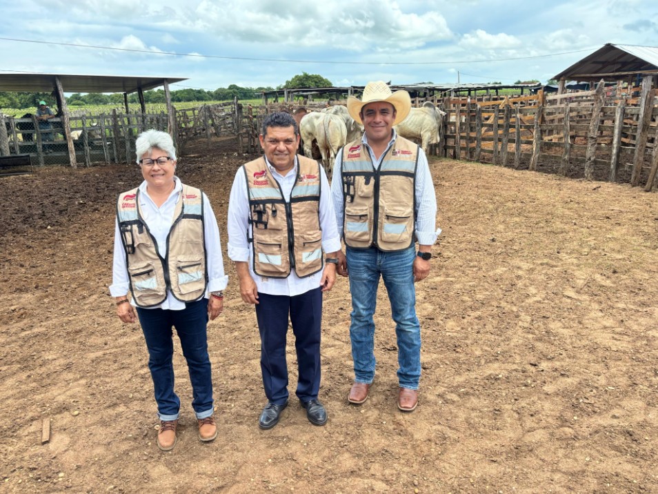 Con la recuperación del campo tabasqueño, se fortalece la economía de pequeños productores; Javier May entrega apoyos de Crédito Ganadero a la Palabra en Emiliano Zapata