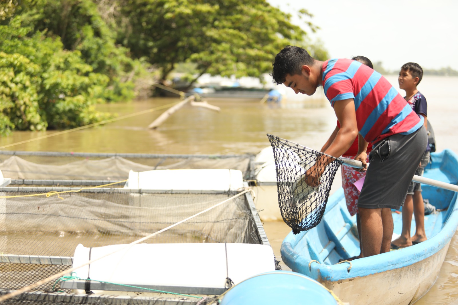 Pescando Vida fortalece la economía, pero sobre todo genera unión familiar, manifiestan beneficiarios en Jonuta