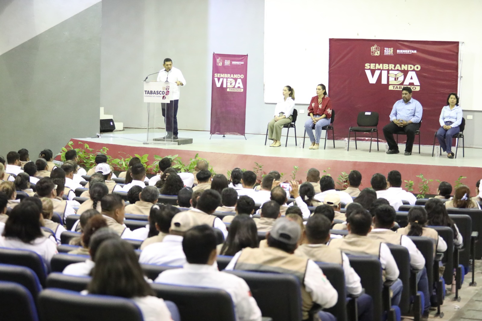 Sembrando Vida Tabasco, a punto de cumplir meta 2025 con 20 mil sembradores