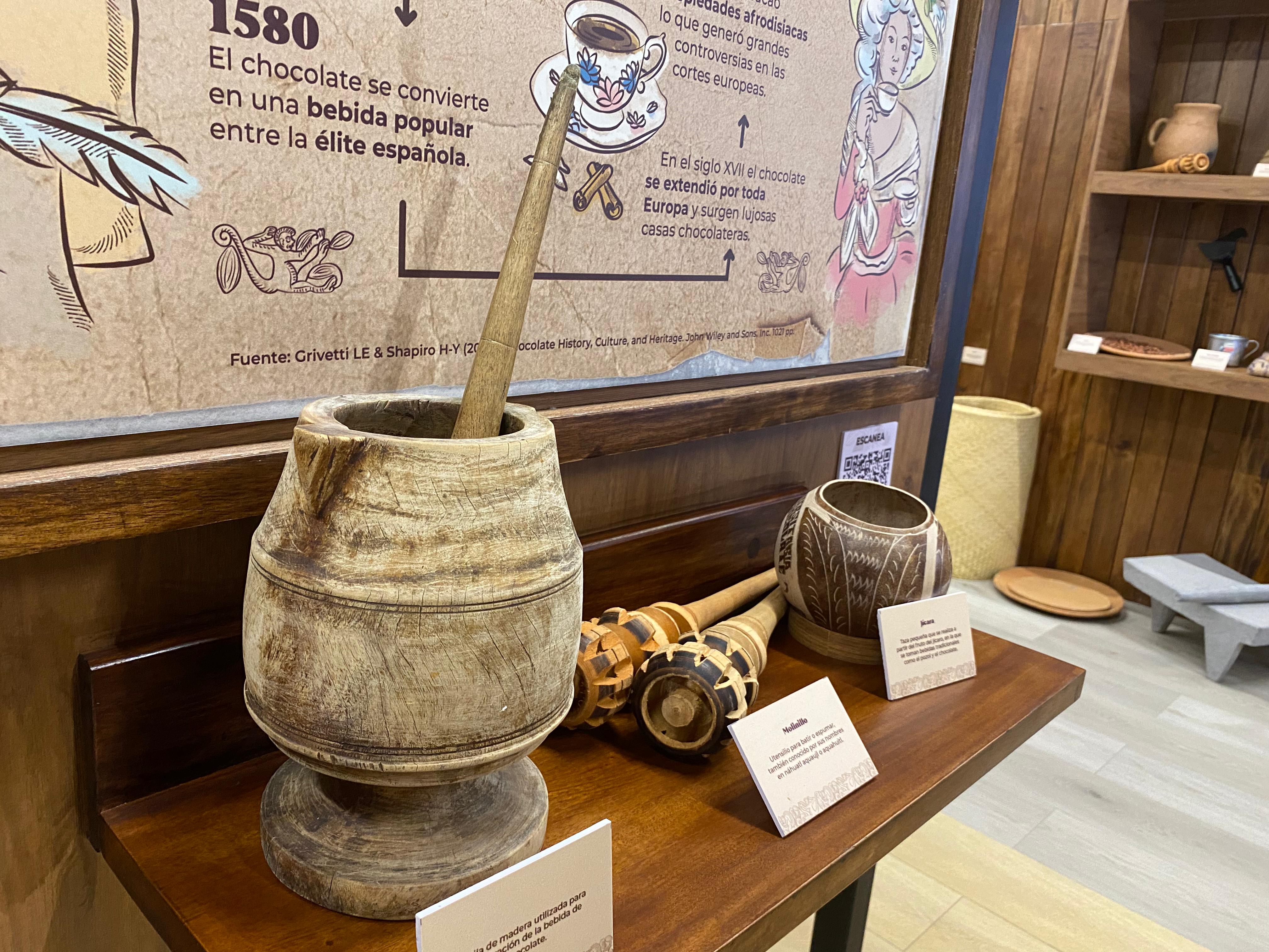 “Cacha Cacao” y “Casa Universitaria del Agua”  proyectos de la UJAT con impacto internacional: GNO