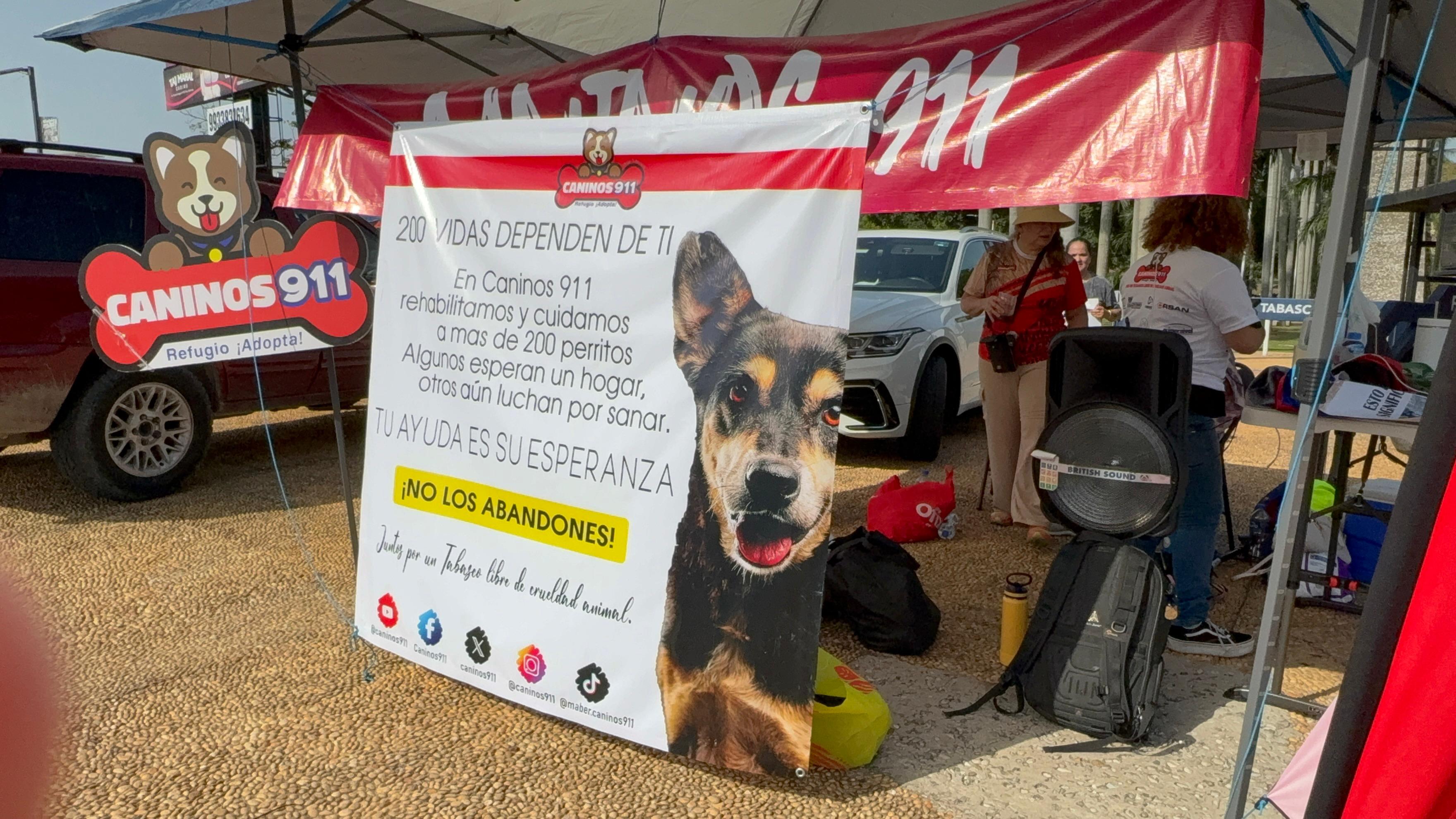 Realiza Caninos 911 boteo en las calles a favor del refugio animal