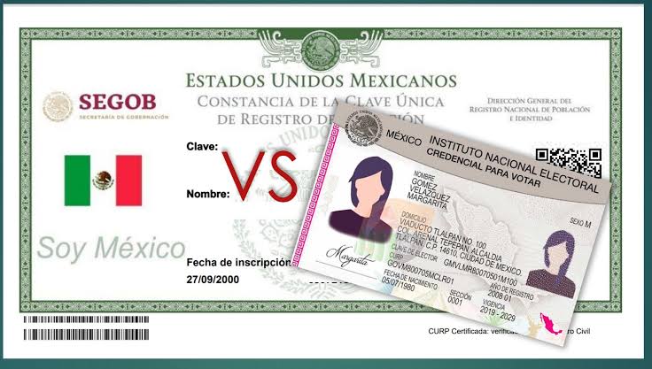 CURP biométrica no suplirá a la credencial INE que es un documento oficial: Elizabeth Nava Gutiérrez