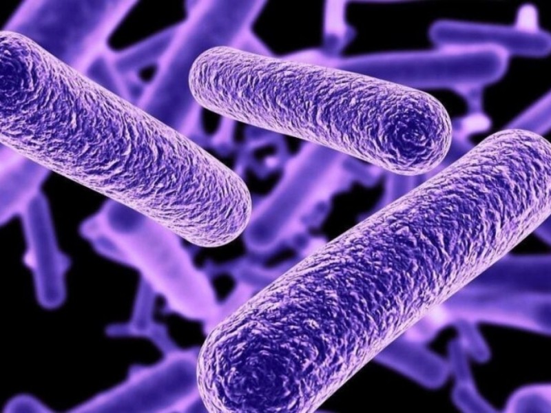 Aumentan a 6 las muertes por legionelosis en Nueva York