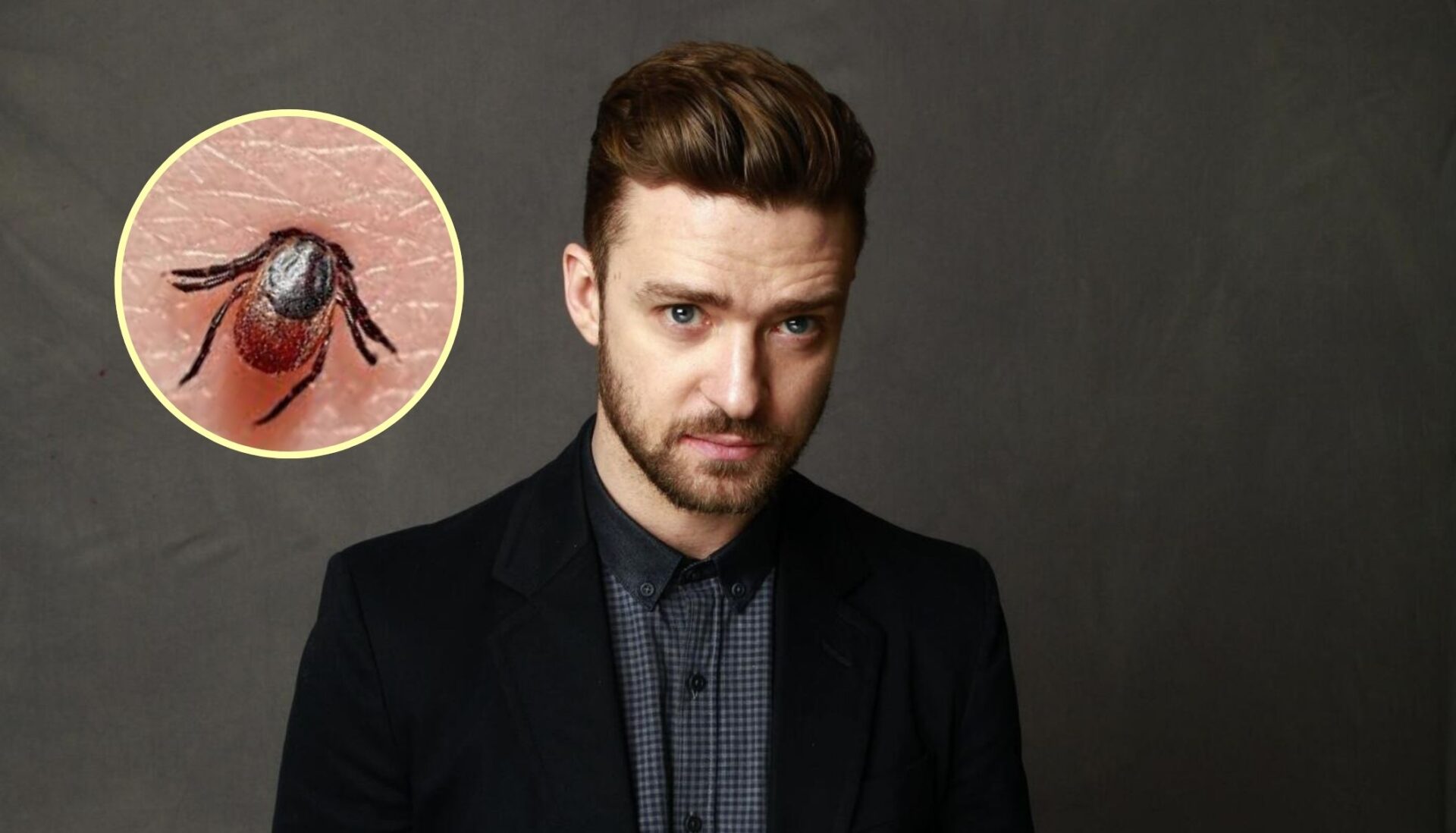 ¿Qué es enfermedad de Lyme, padecimiento que sufre Justin Timberlake?
