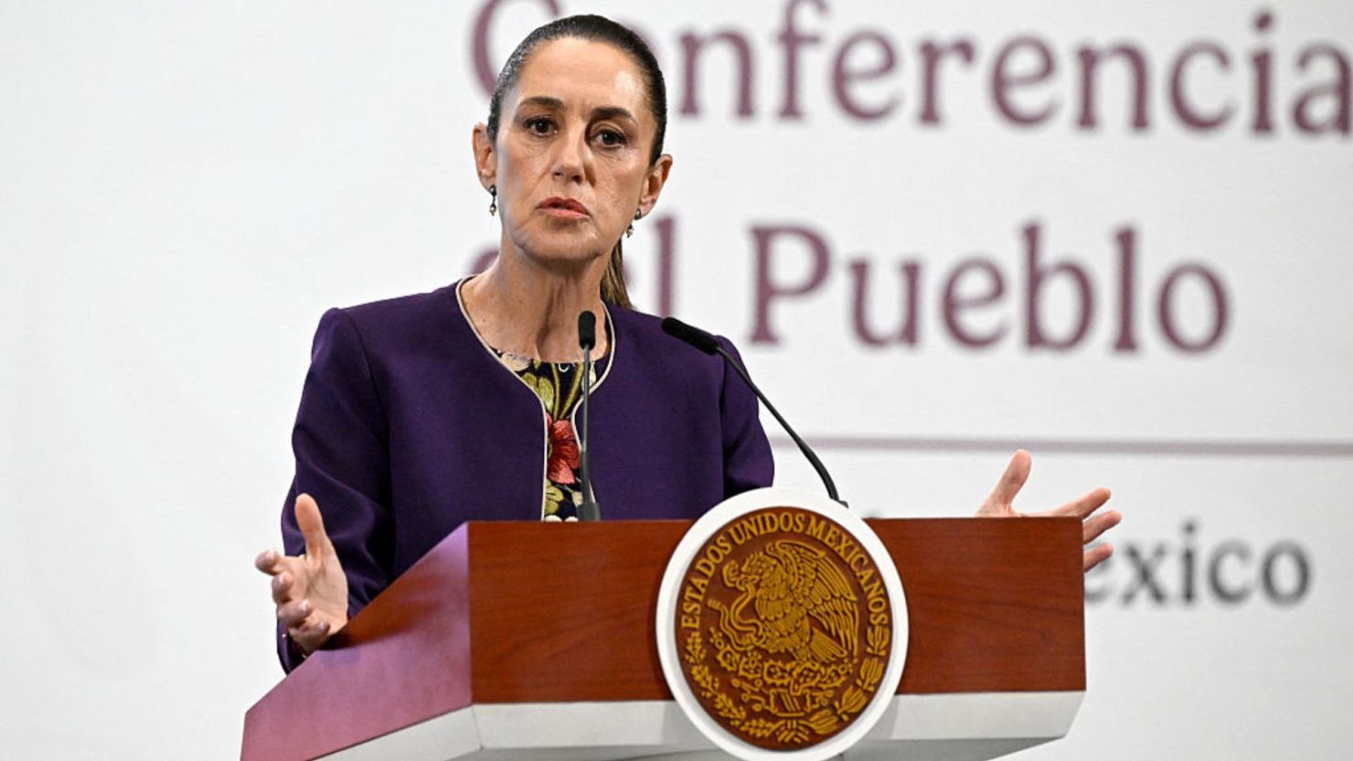 Gobierno crea Comisión Presidencial para la Reforma Electoral