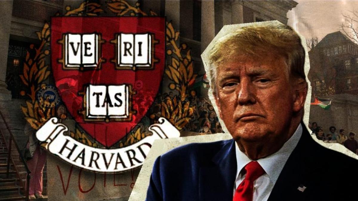 Jueza declara ilegal el bloqueo de fondos a Harvard por parte del gobierno de Trump