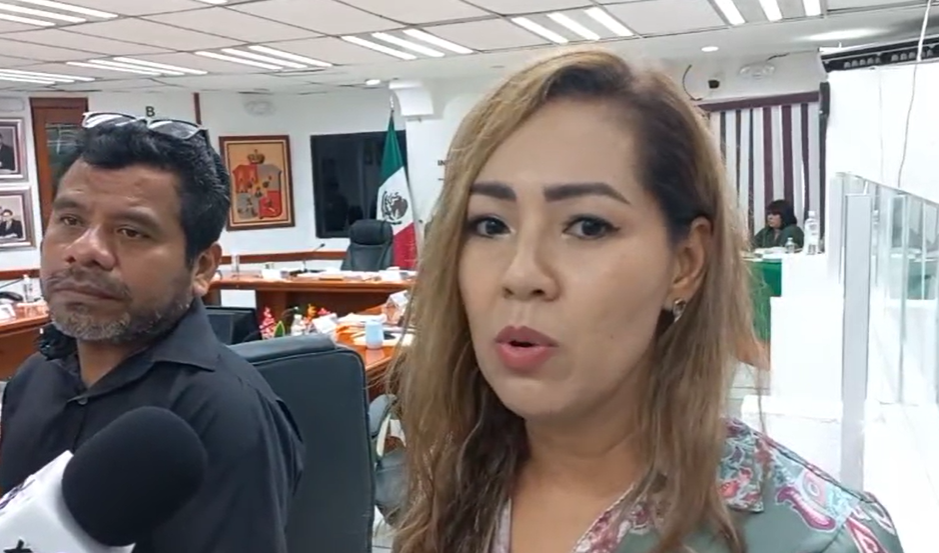 Tras eliminación de algunos conceptos consejeros electorales ganaran menos: Elizabeth Nava