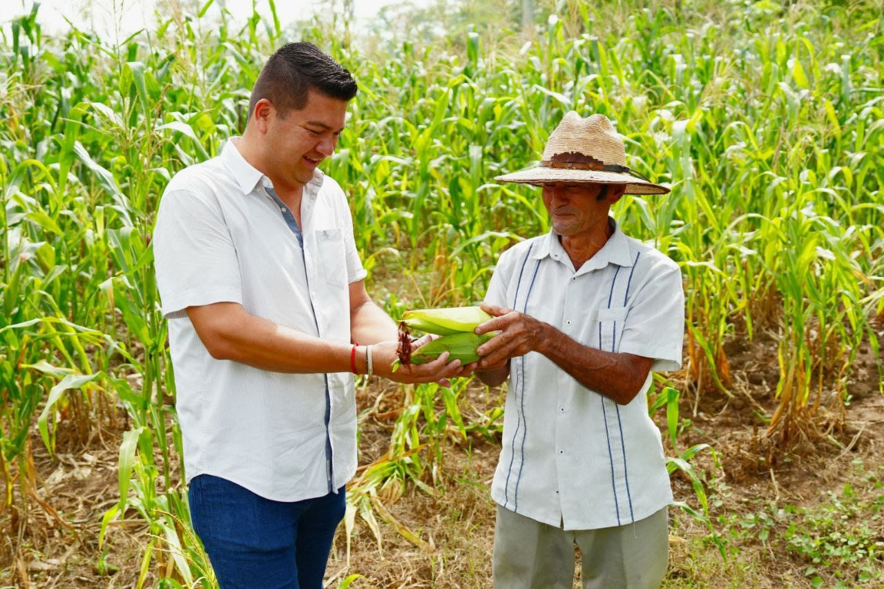 Rinde primeros frutos mecanización agrícola impulsada por Gobierno de Comalcalco