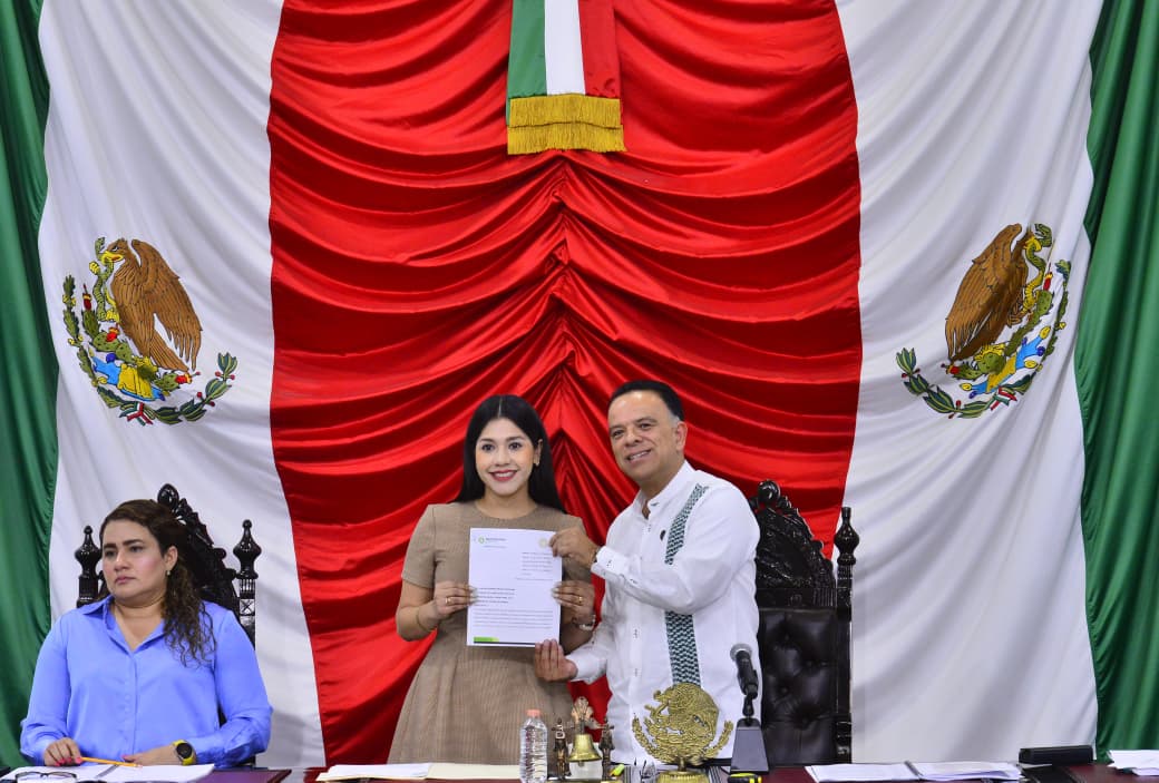 Mayor castigo a quien cometa ecocidio: Alejandra Navez Plancarte