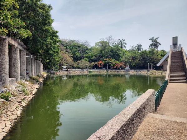 Barbasco, posible causa de mortandad de peces
