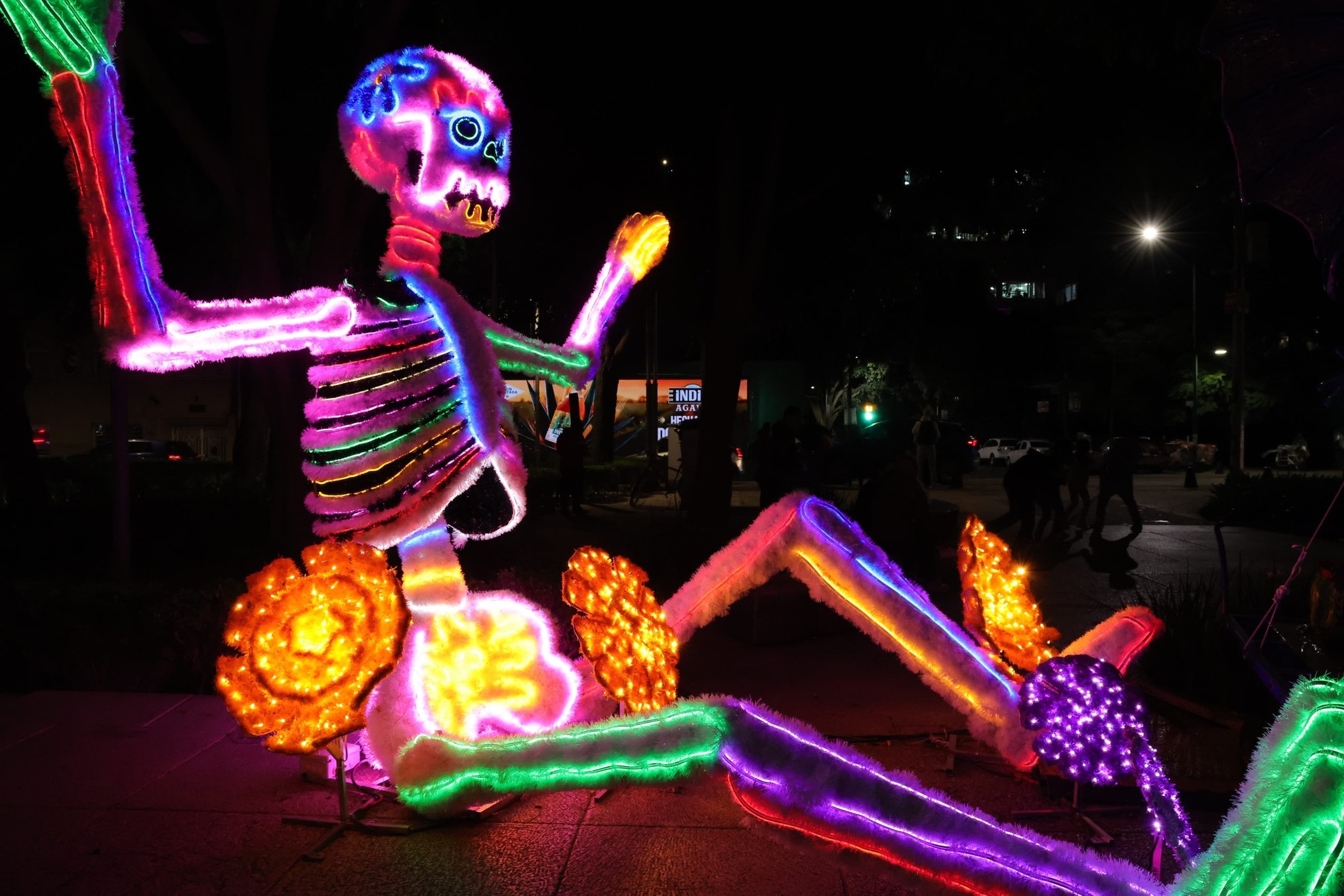 Clara Brugada invita a disfrutar del Festival Lumínico y de Cempasúchitl en la CDMX