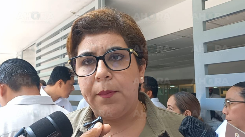 Tey Mollinedo: Diputados federales seguiremos cerrando filas con Javier May