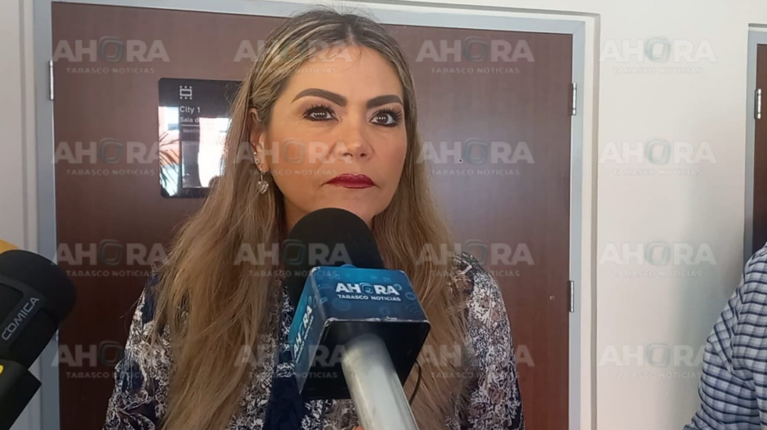 PAN Tabasco competirá solo en 2027, confirma Kathia Bolio Pinelo