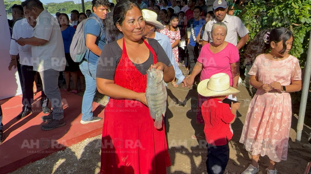 Productores de tilapia en Jonuta celebran éxito de la primera cosecha del programa “Pescando Vida”