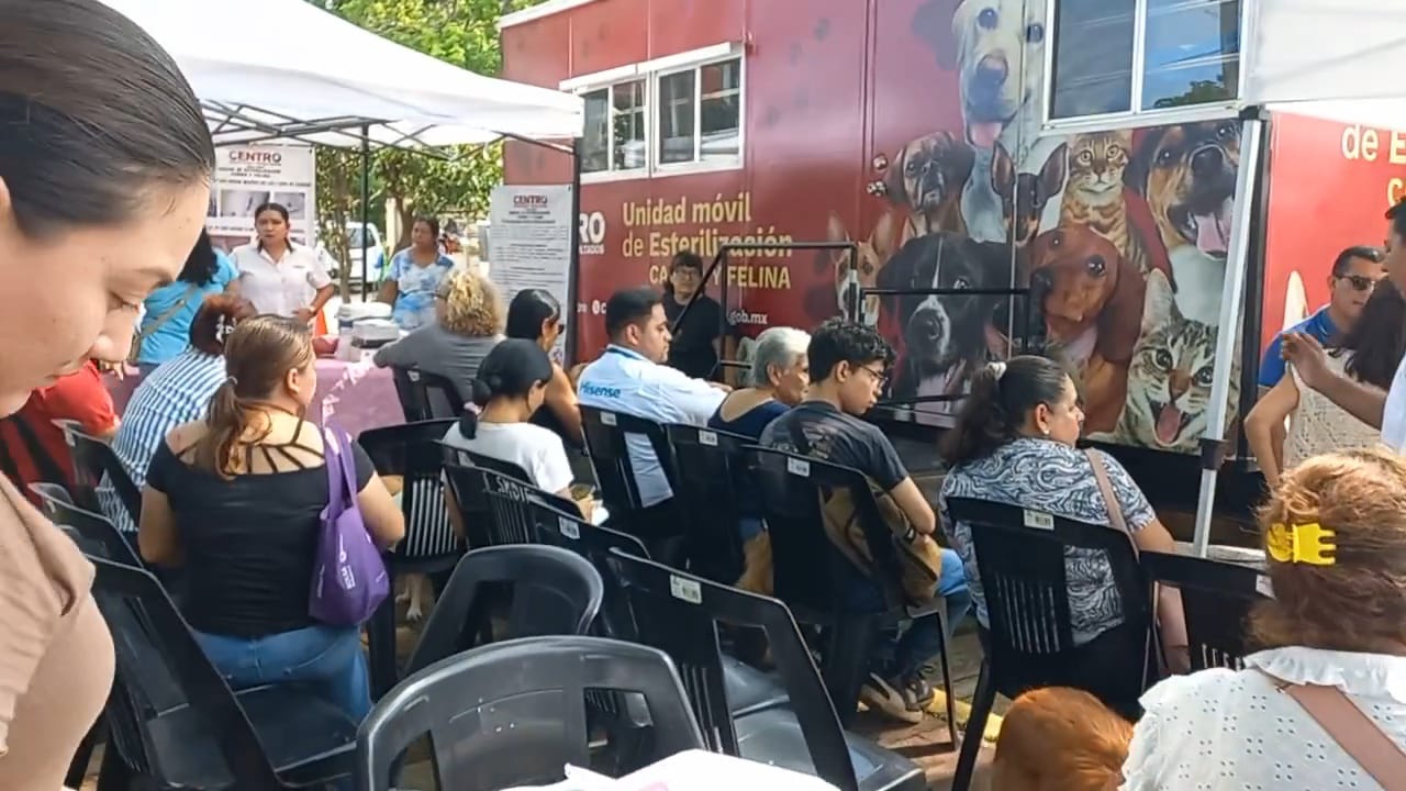 La esterilización de perros y gatos es totalmente gratuita: Beatriz Pedrero