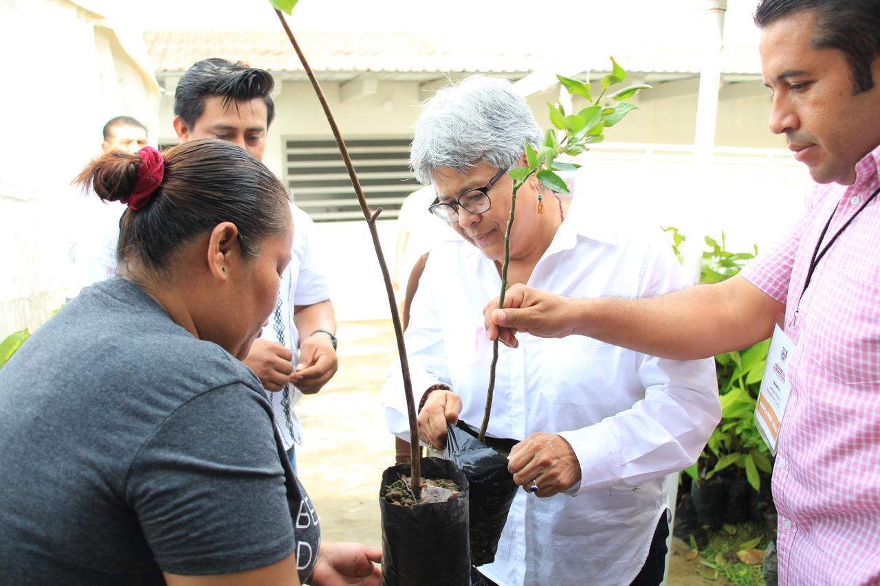 «Sembrar árboles es un acto de amor», llama titular de SEDAP a participar en la Jornada de Reforestación este domingo
