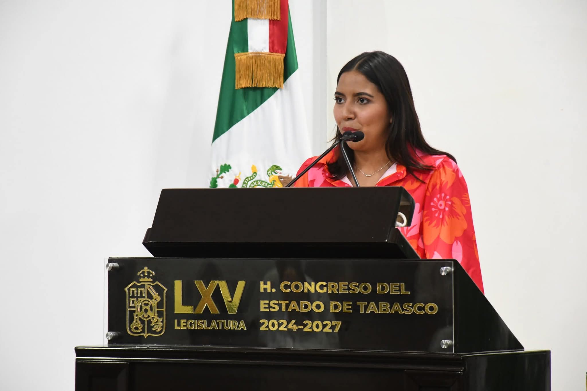 Crear más conciencia y sensibilizar problemas de salud mental: Diana Gordillo