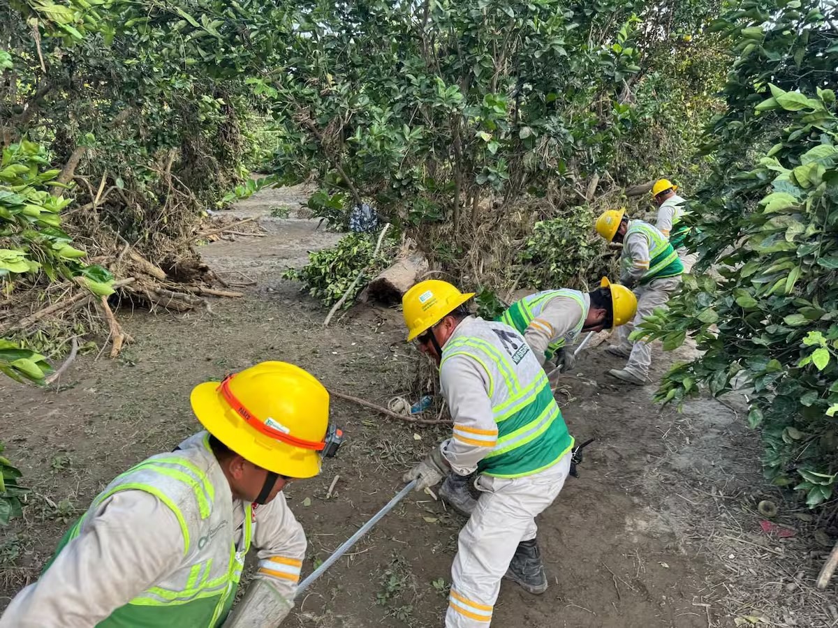 Claudia Sheinbaum reconoce convicción y sacrificio de trabajadores de la CFE
