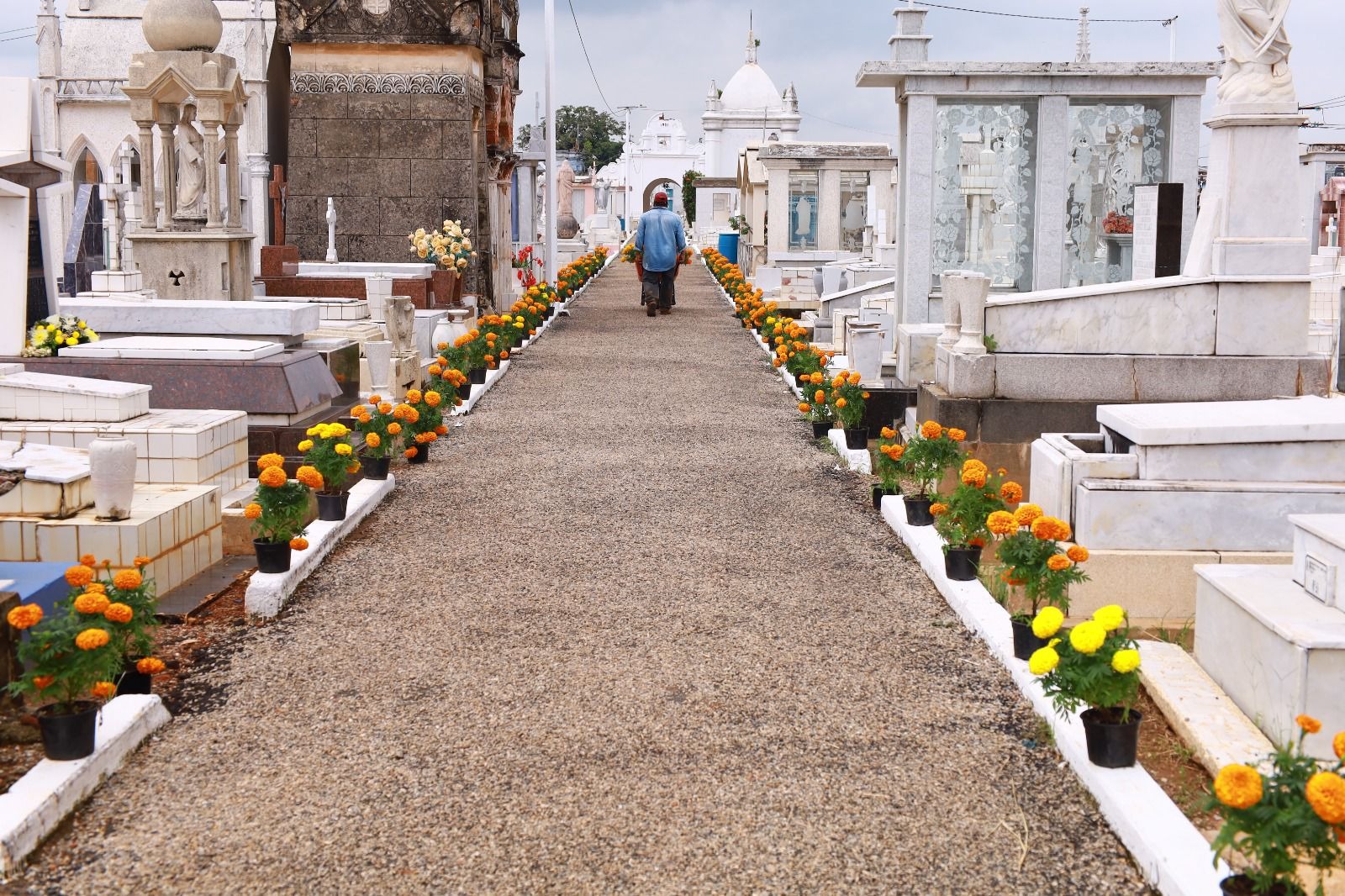 Reforzarán fumigación en panteones de Tabasco previo al Día de Muertos