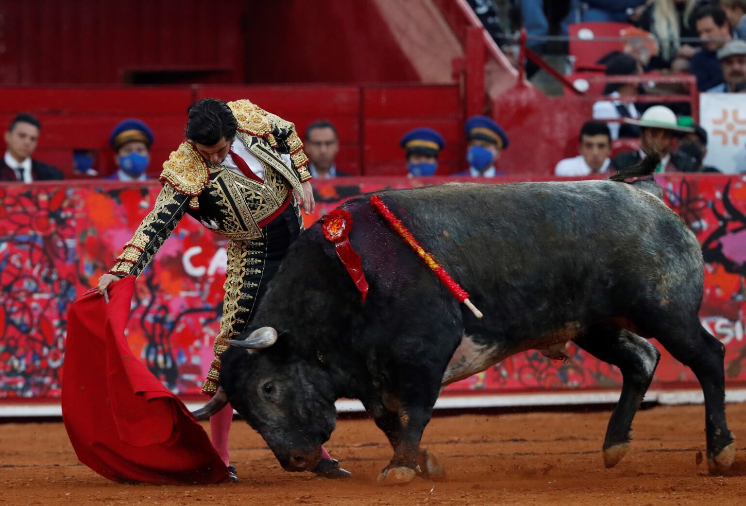 SCJN analizará amparo de pueblo originario contra prohibición de corridas de toros “sin sangre”