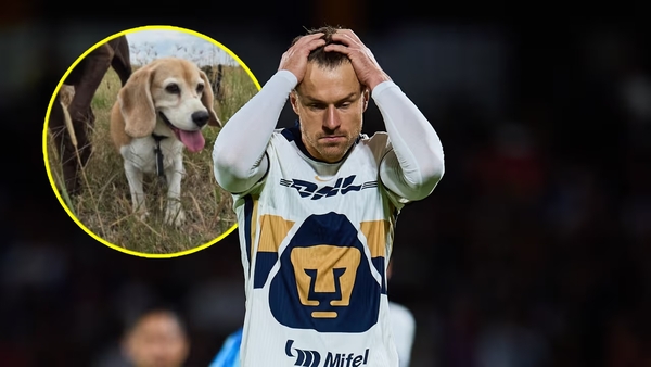 El jugador de Pumas, Ramsey, ofrece casi 200 mil pesos por encontrar a su perro