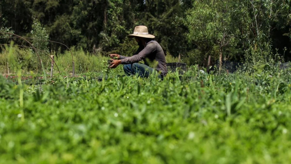 Impulsa Gobierno de la Ciudad de México agenda integral a favor del medio ambiente