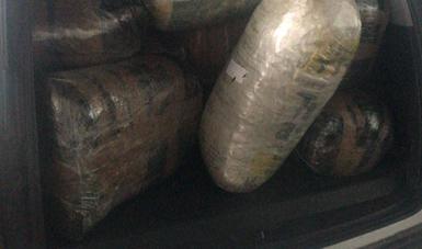 En Tabasco, aseguran más de 600 kilogramos de mariguana