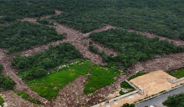 Clausuran proyecto inmobiliario Savia Residencial en Xcunya, Mérida, por cambio de uso de suelo ilegal