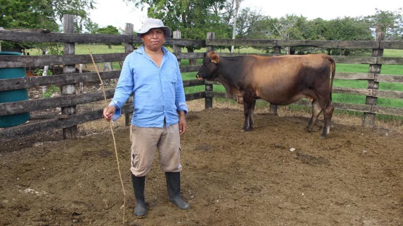 Yucatán refuerza atención contra gusano barrenador