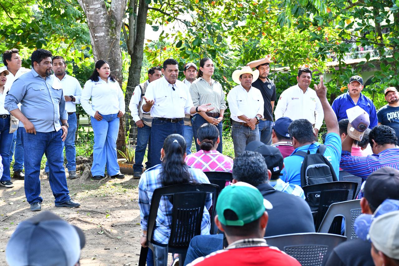 Anuncia Gobernador, en vivero de zona chol de Tacotalpa, que Sembrando Vida Tabasco contará con 1,200 mdp en 2026