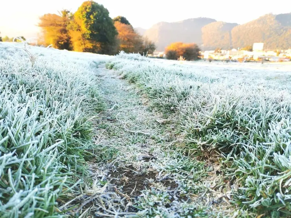Primera helada de la temporada sorprende a San Cristóbal de Las Casas