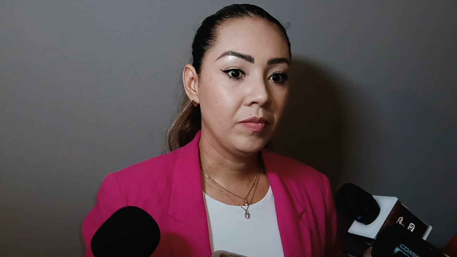 Aún no son tiempos electorales, por lo que se debe respetar la ley: Elizabeth Nava Gutiérrez