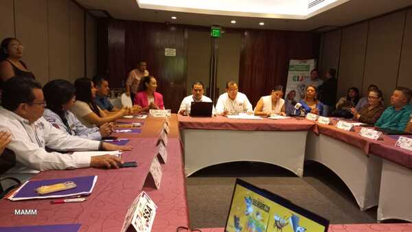 Cada cuatrimestre se evaluarán los avances de compromisos del CIJ: Elizabeth Tapia Quiñones