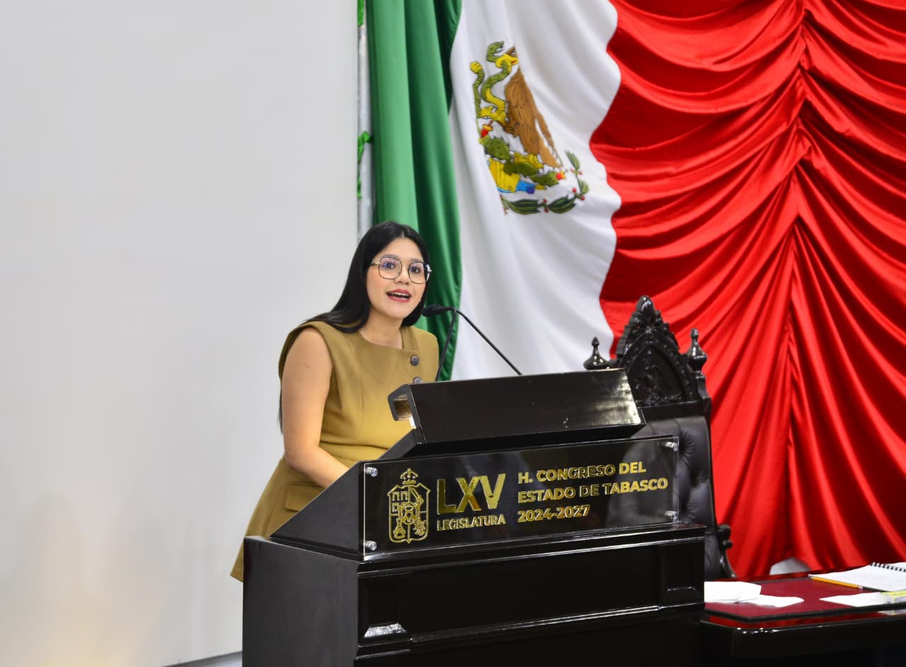 LXV Legislatura aprueba iniciativa del PVEM para fortalecer sanciones contra quienes tiran basura en la vía pública