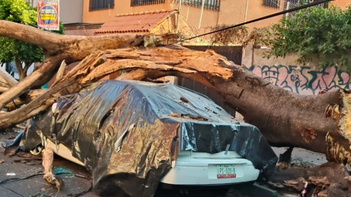 Sismo deja 12 lesionados y daños menores en CDMX